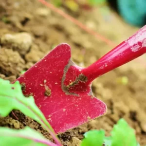 13 ferramentas indispensáveis para jardinagem